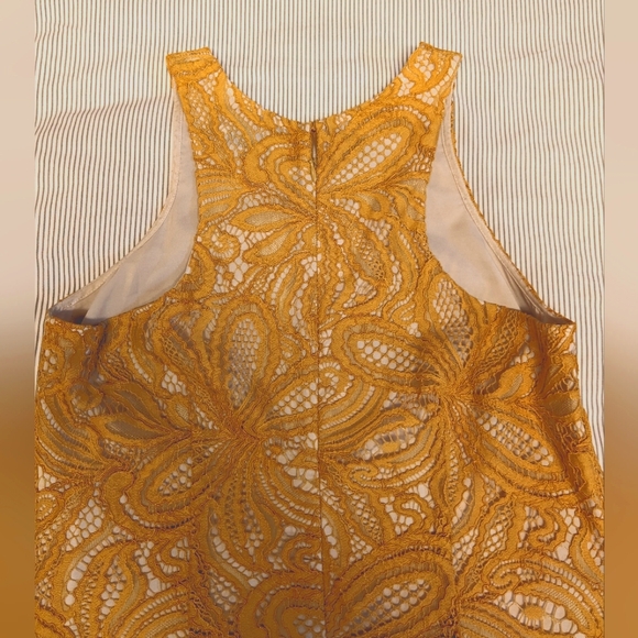 Babaton Henry Lace Dress Size 6 - Picture 3 of 5